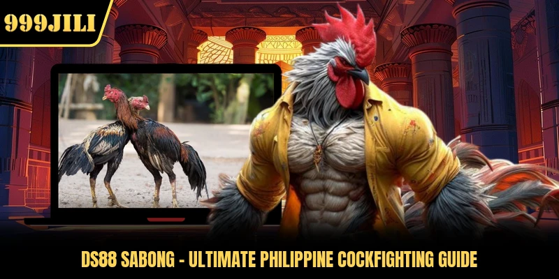 DS88 Sabong - Ultimate Philippine Cockfighting Guide