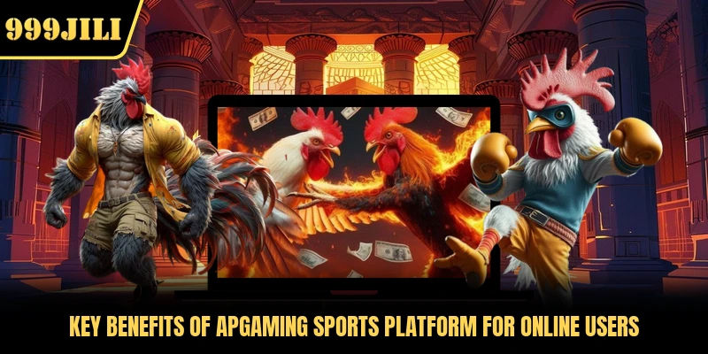 Key benefits of APGAMING Sports platform for online users 