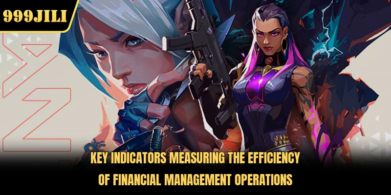 Key indicators measuring the efficiency of financial management operations 