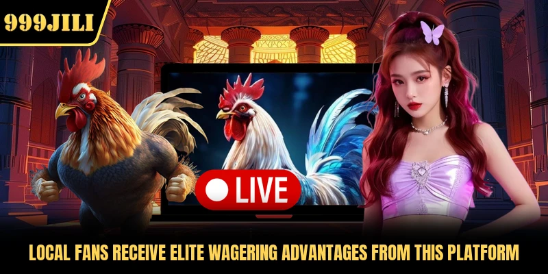 Local fans receive elite wagering advantages from this platform 